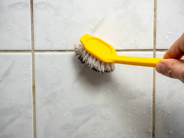 Best Mold Testing  in Grasonville, MD