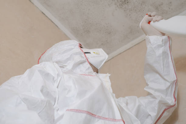 Mold Testing and Removal in Grasonville, MD