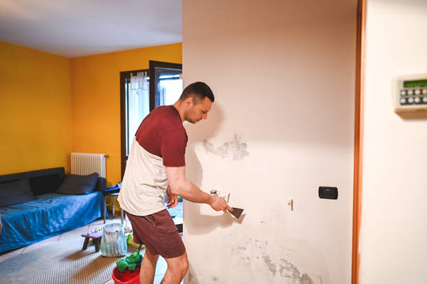 Mold Testing and Removal in Grasonville, MD